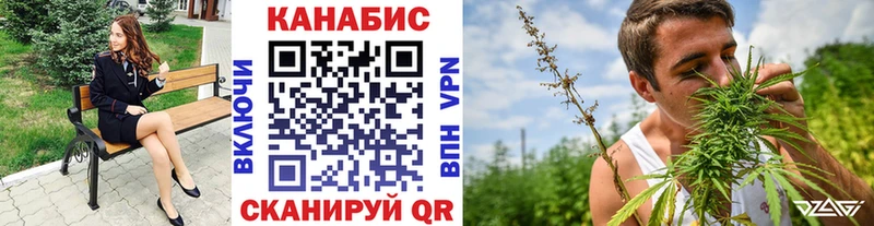Купить закладки  Чадан  Конопля SATIVA & INDICA 